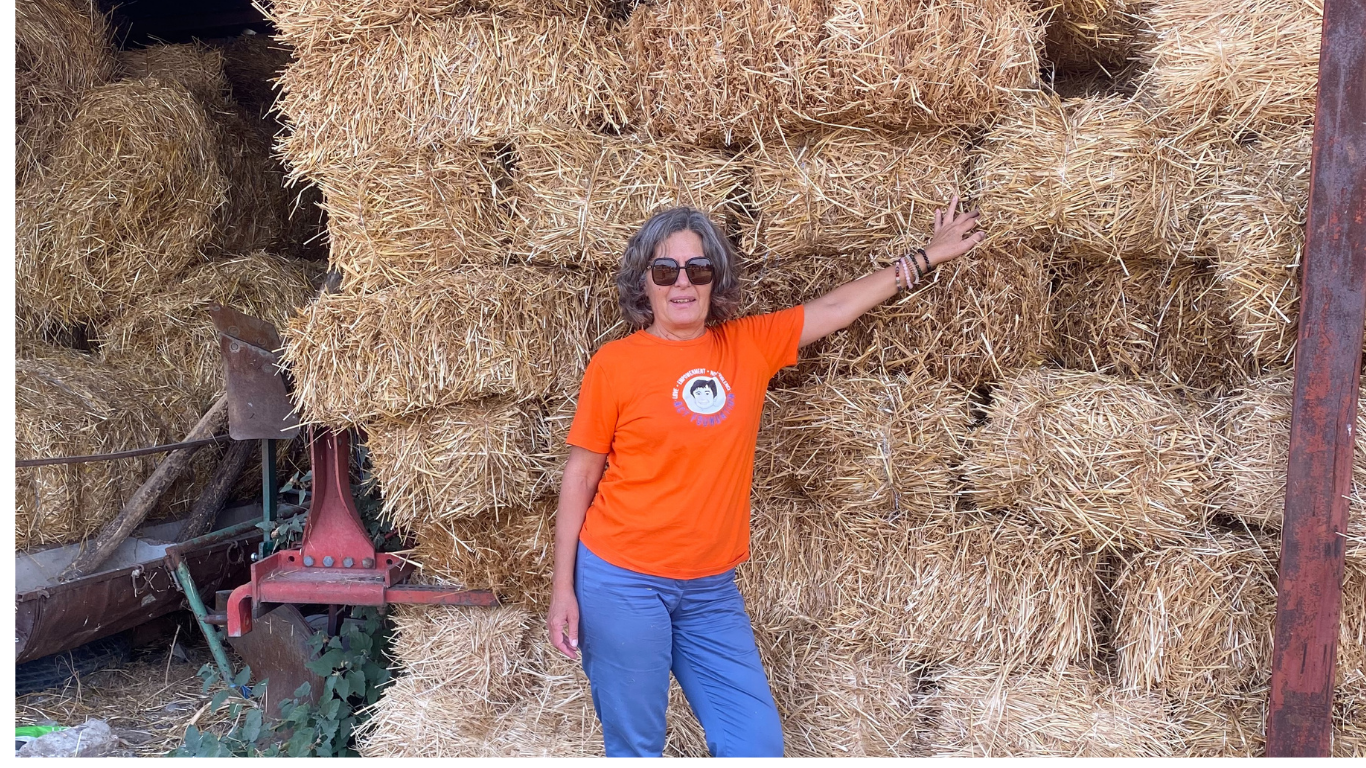 Pomozimo Institutu Za Neonatologiju – Za N